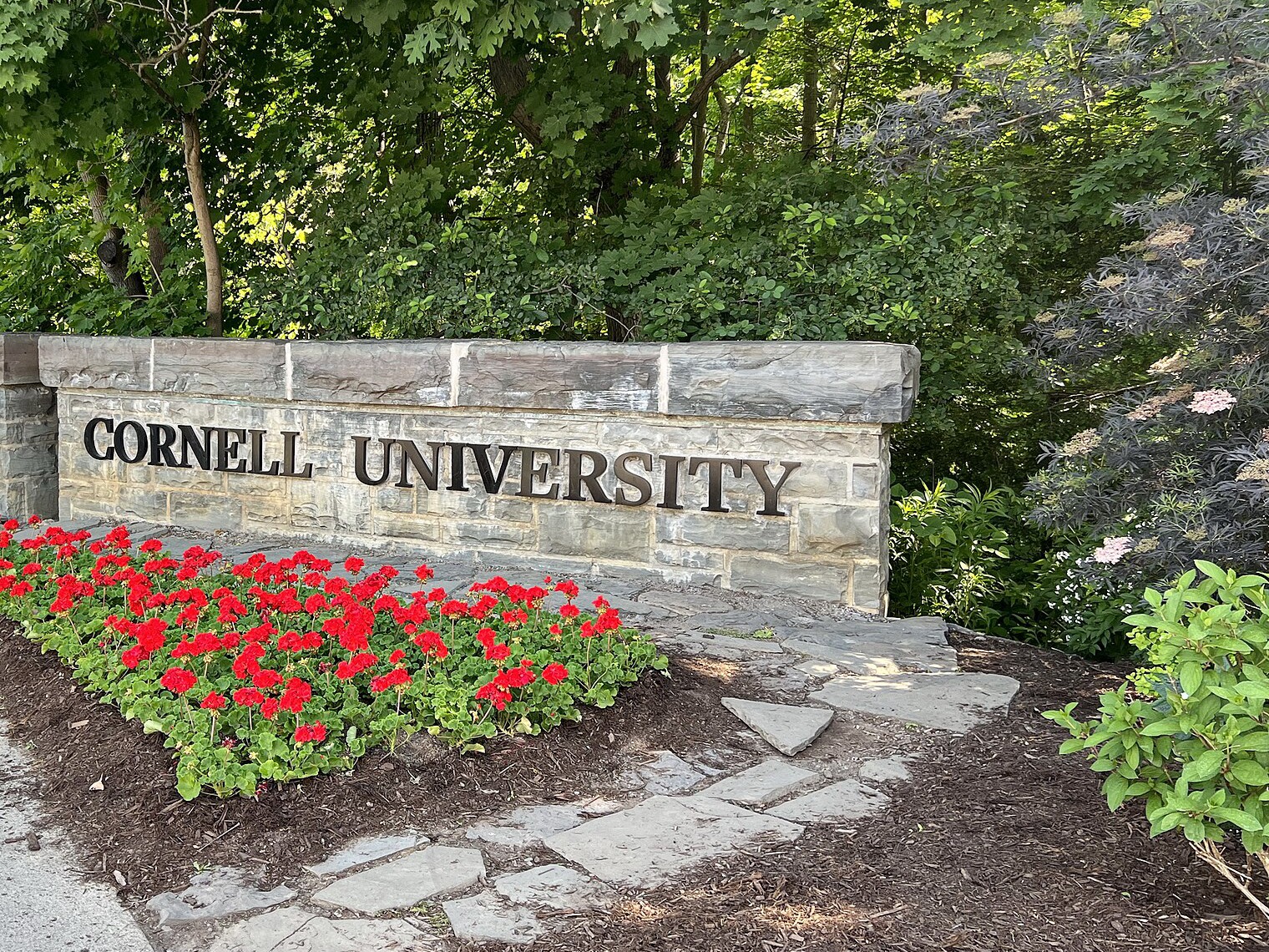 The words CORNELL UNIVERSITY in dark metal letters on a low stone wall, with a bed of red geraniums in front and dense green trees behind.