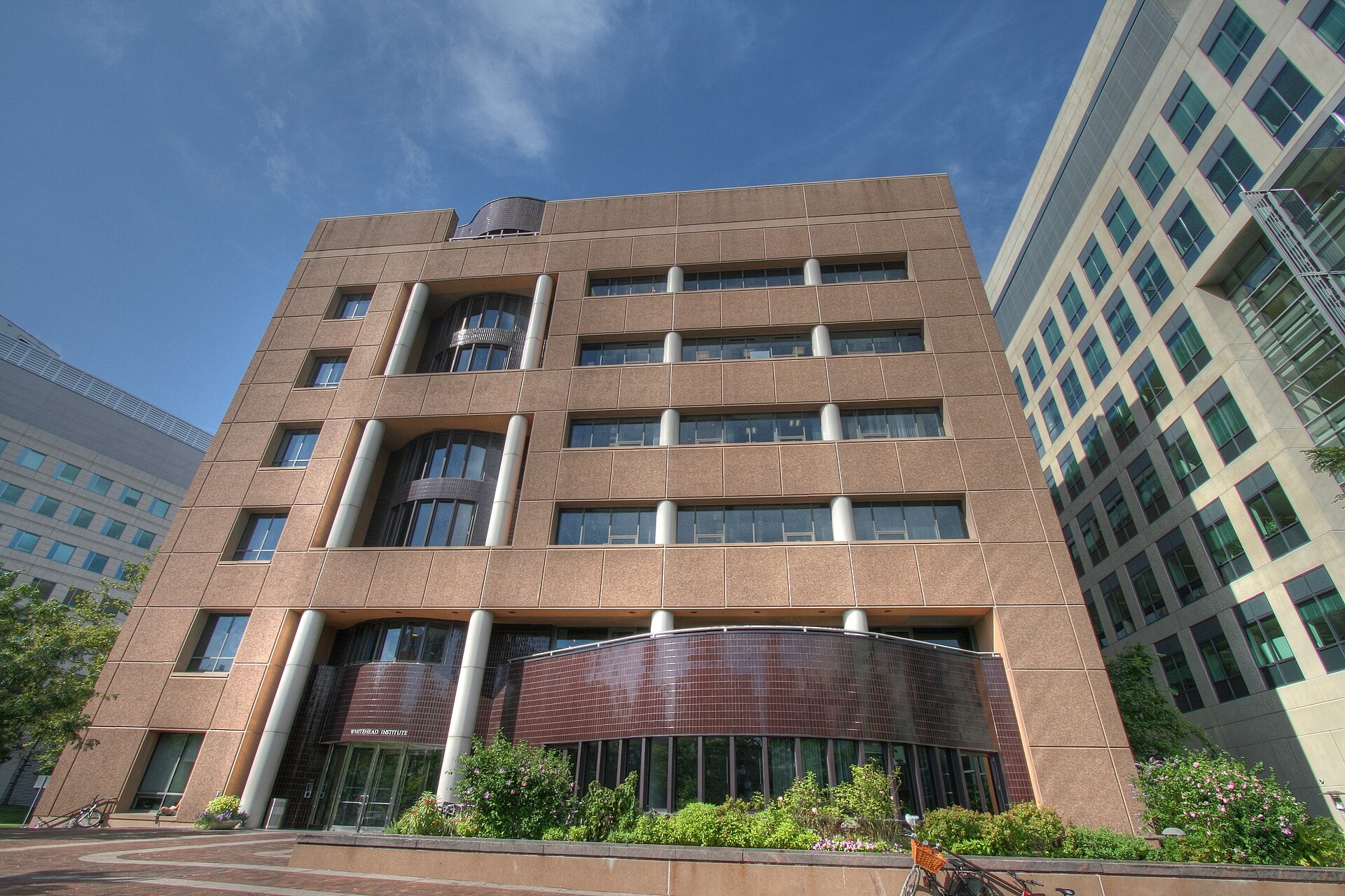 The Whitehead Institute for Biomedical Research in Cambridge, Massachusetts: a pinkish stone building with tall columns and a curved glass ground floor, beside a modern glass office block under a blue sky.