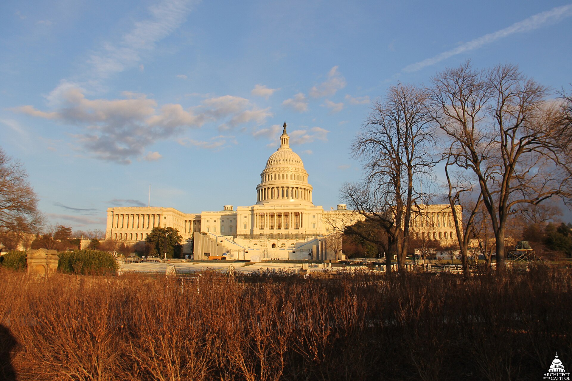 The white dome and west front of the US Capitol in Washington lit by low winter sun, with bare trees and dry brown shrubs in the foreground.