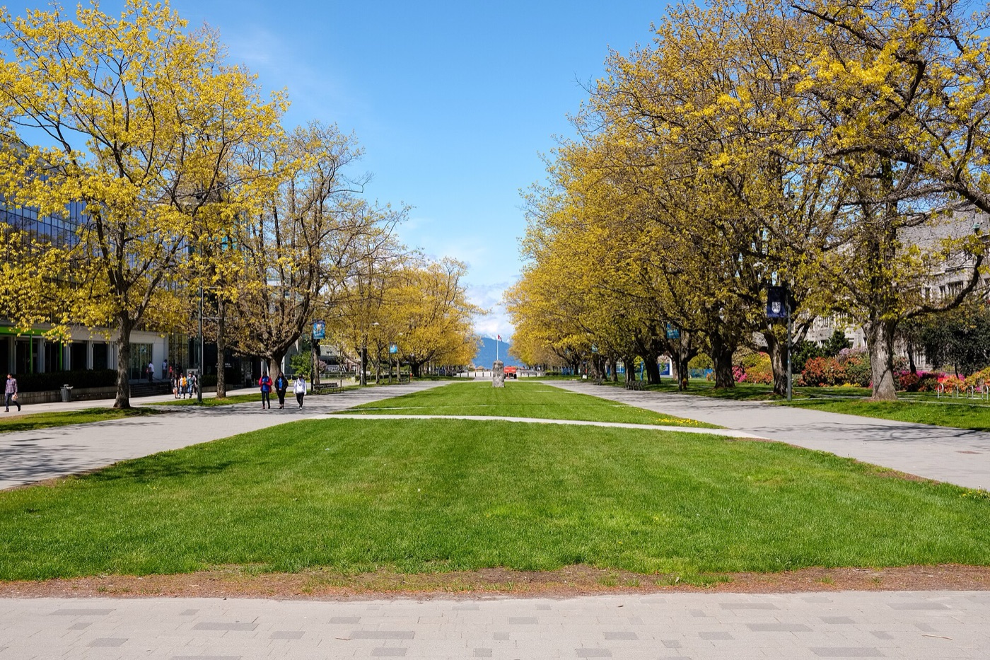 Main Mall at the University of British Columbia on a clear spring day - a wide strip of mown grass running between avenues of trees in yellow-green new leaf, with campus buildings either side and a few people walking the paths.